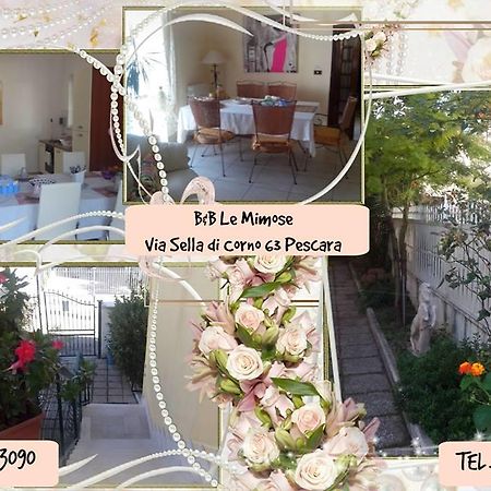 Le Mimose Bed & Breakfast Pescara Luaran gambar